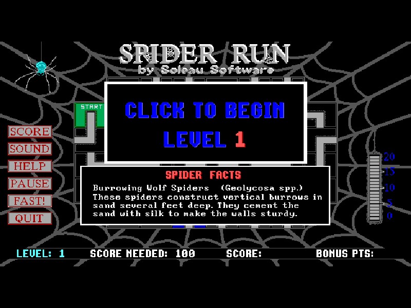 Spider Run